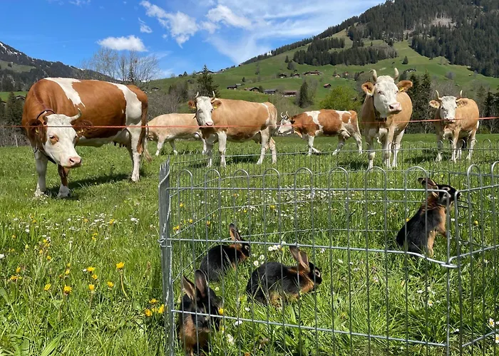 Apartament Alpenchalet Spiher-studio Und Ein Weiteres Schlafzimmer *