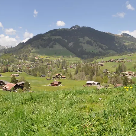 Alpenchalet Spiher Ferienwohnung-Studio Und Ein Weiteres Schlafzimmer * Гштад