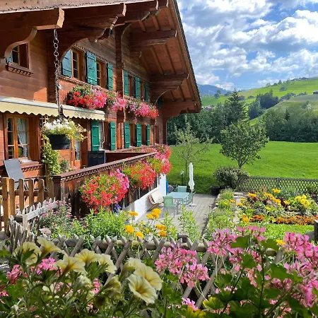 Apartment Alpenchalet Spiher Eg Gstaad