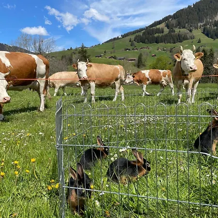 Apartmán Alpenchalet Spiher Ferienwohnung-Studio Und Ein Weiteres Schlafzimmer *